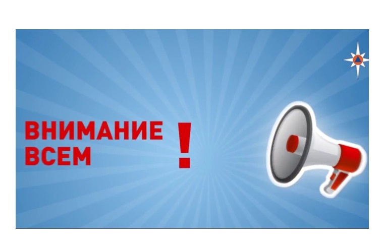 В соответствии с Планом подготовки и проведения комплексной проверки готовности региональной системы оповещения населения Воронежской области..