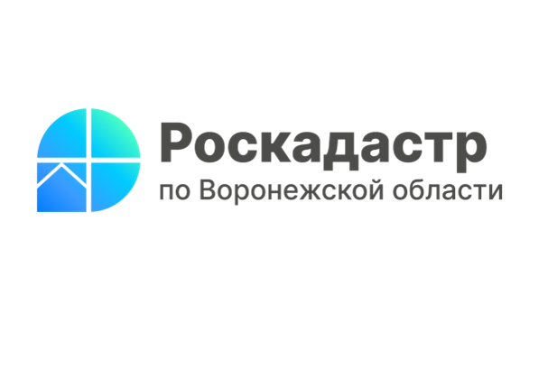 За полгода в ЕГРН внесено почти 4 тысячи различных зон на территории Воронежской области.